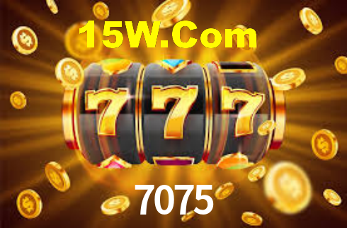 7075 App Interface